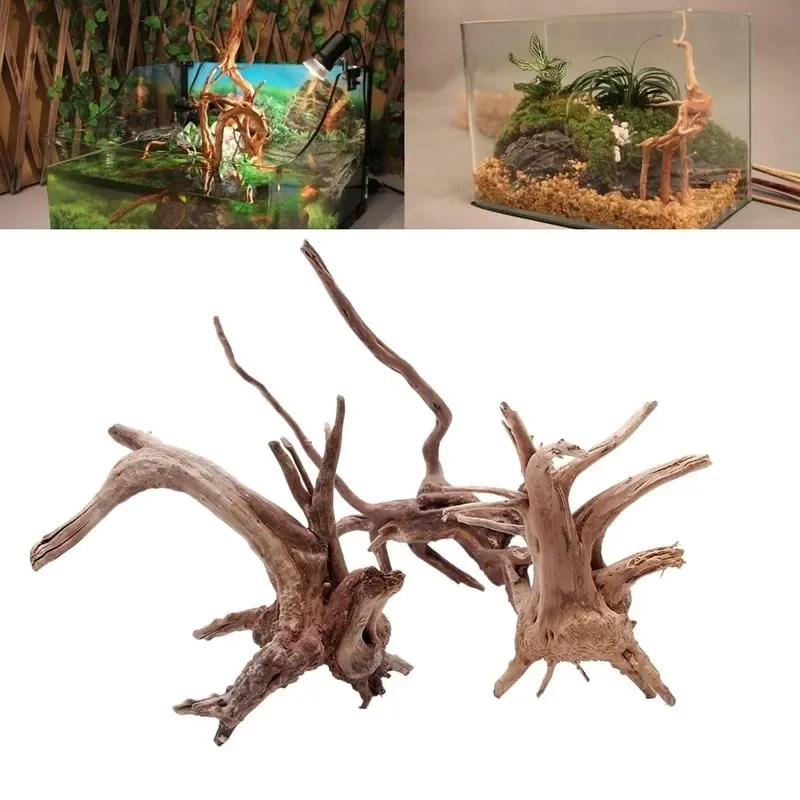 Aquarium Plant Live - Natürlicher Baumstamm Treibholz Aquarium Aquarium Reptilien