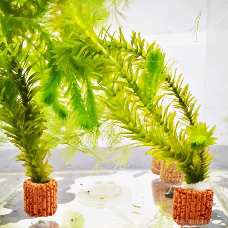 Emersed Plants Aquarium - QX2E Aquarium-Pflanzenhalteranker für den Aquaponik-Pflanzenanbau