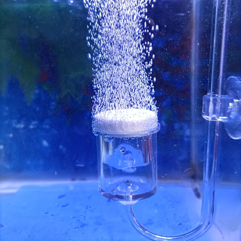 Planted Aquarium Co2 - Aquarium Glas CO2 Zerstäuber Diffusor Blase