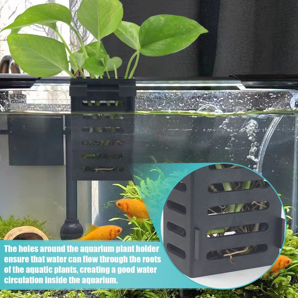 Emersed Plants Aquarium - Wasserpflanzen-Landschafts-Aquarium-Pflanzenhalter Hydroponisches Pflanzbecken Aufbewahrungsregal für Wasserpflanzen