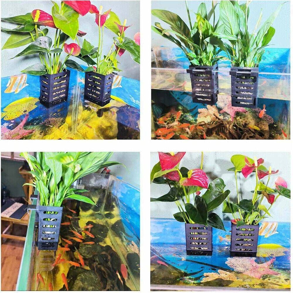 Emersed Plants Aquarium - Aquarien-Pflanzenhalter für Wasserpflanzen, Hydroponik und Emersierte