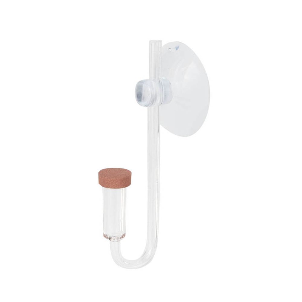 Planted Aquarium Co2 - Acryl Mini Aquarium Live Pflanze U