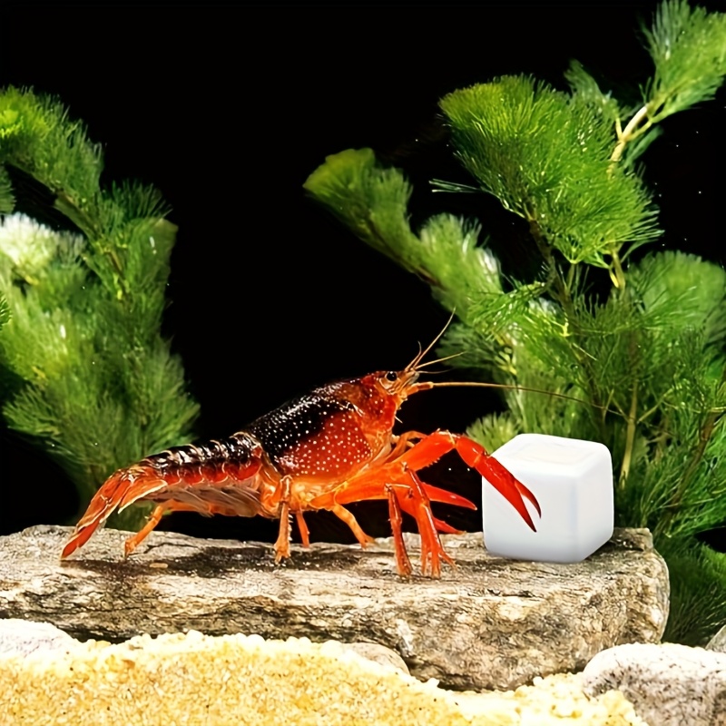 Aquarium Plant Roots - 6-teiliger Aquarium-Kalziumblock, Mineralien, Aquarium-Versorgung, Krabbelwürfel für
