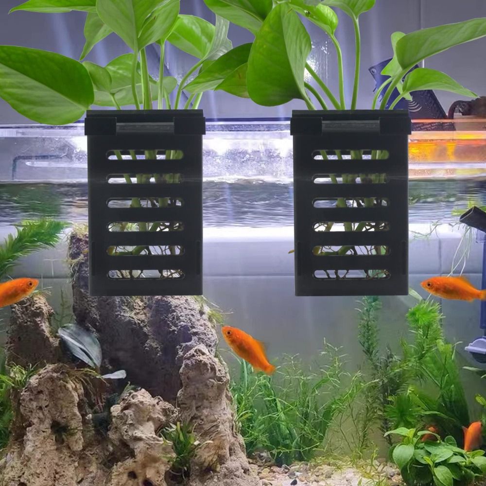 Wasser Pflanze Landschaft Aqua – Emersed Plants Aquarium Bewertung und Preis