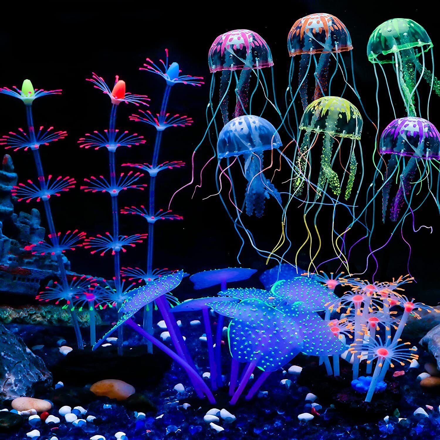 Leuchtende Silikon-Korallen un – Aquarium Plant Live Bewertung und Preis