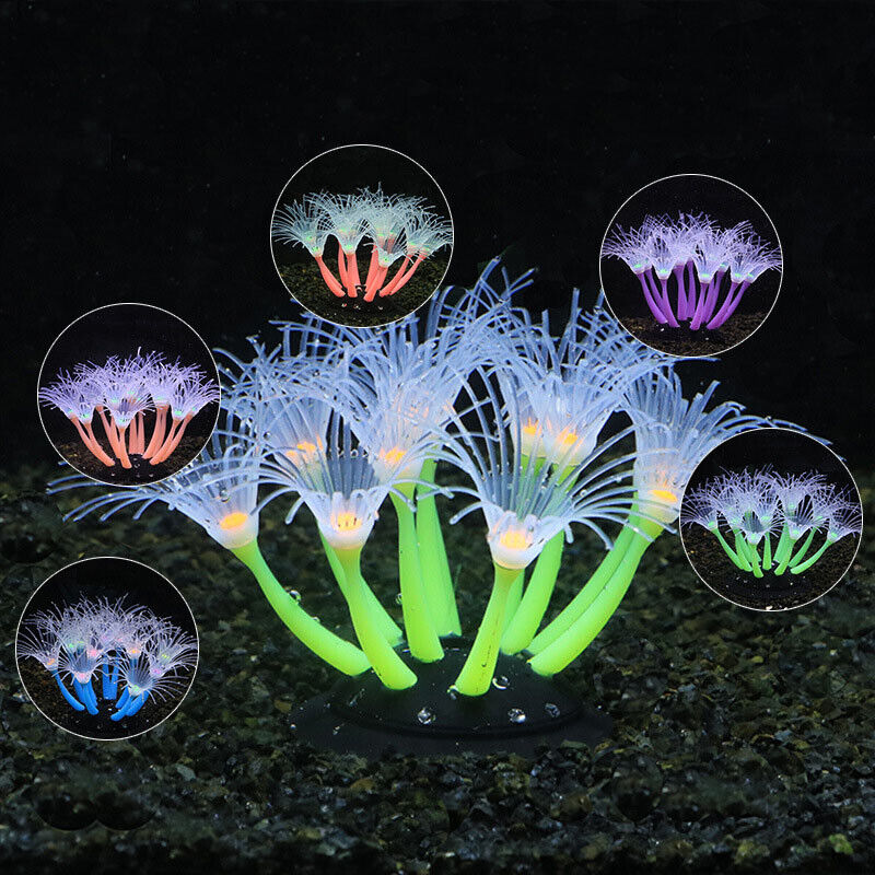 Leuchtende Silikon-Korallen un – Aquarium Plant Live Bewertung und Preis
