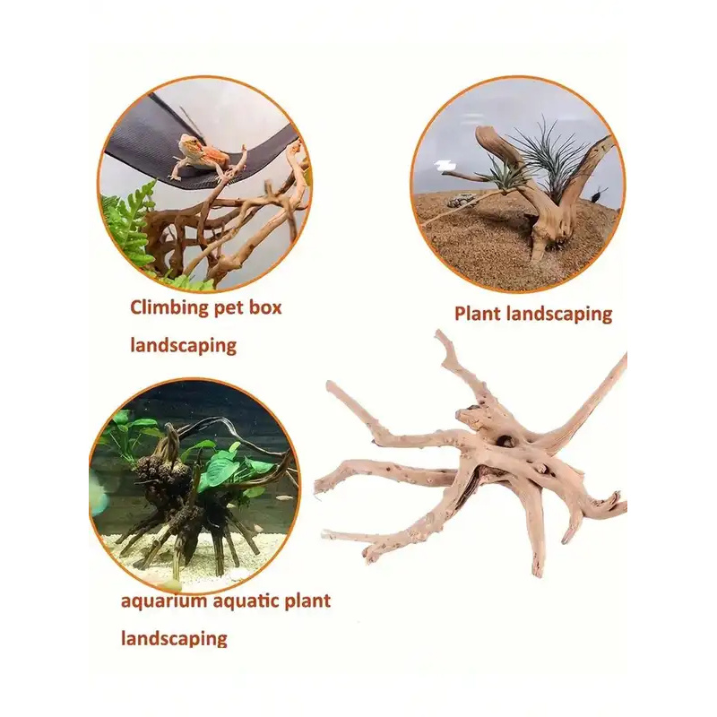 Natürliches Treibholz zur Aqua – Aquarium Planted Tree Bewertung und Preis