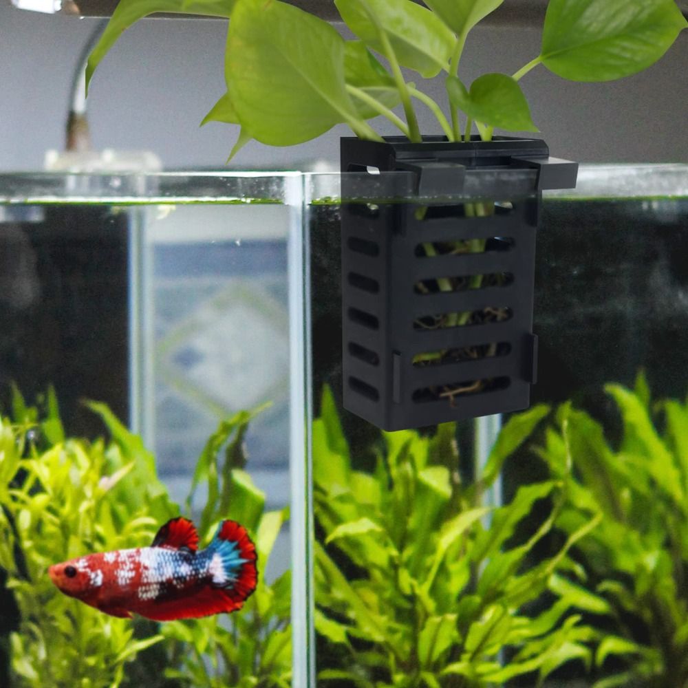Aquarien-Pflanzenhalter für Wa – Emersed Plants Aquarium Bewertung und Preis