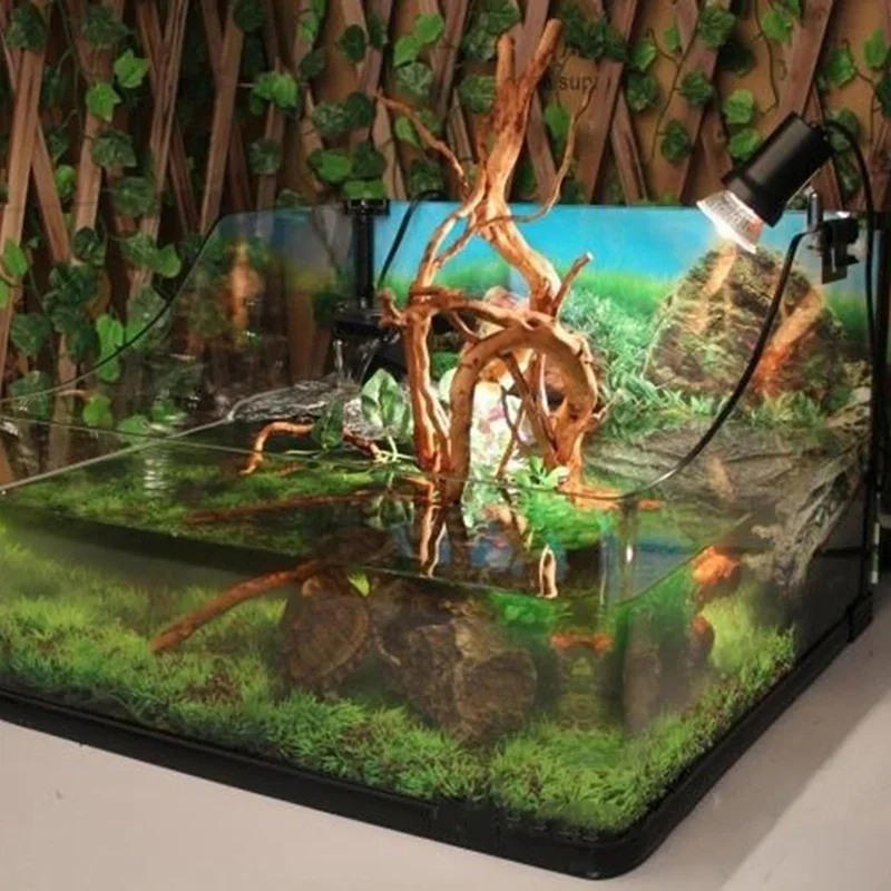 Natürlicher Baumstamm Treibhol – Aquarium Plant Live Bewertung und Preis
