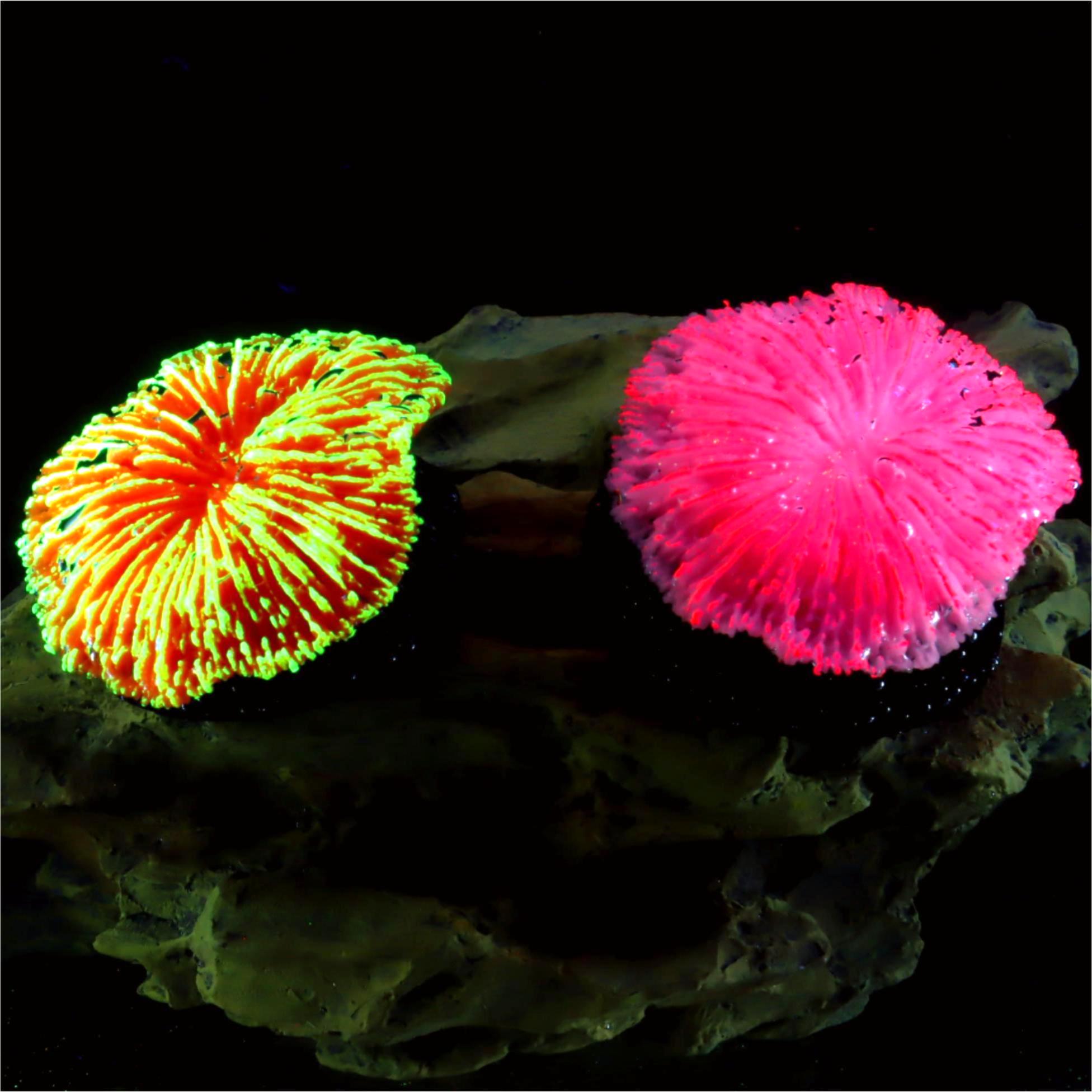 1 piece aquarium decoration sa – Aquarium Plant Live Bewertung und Preis