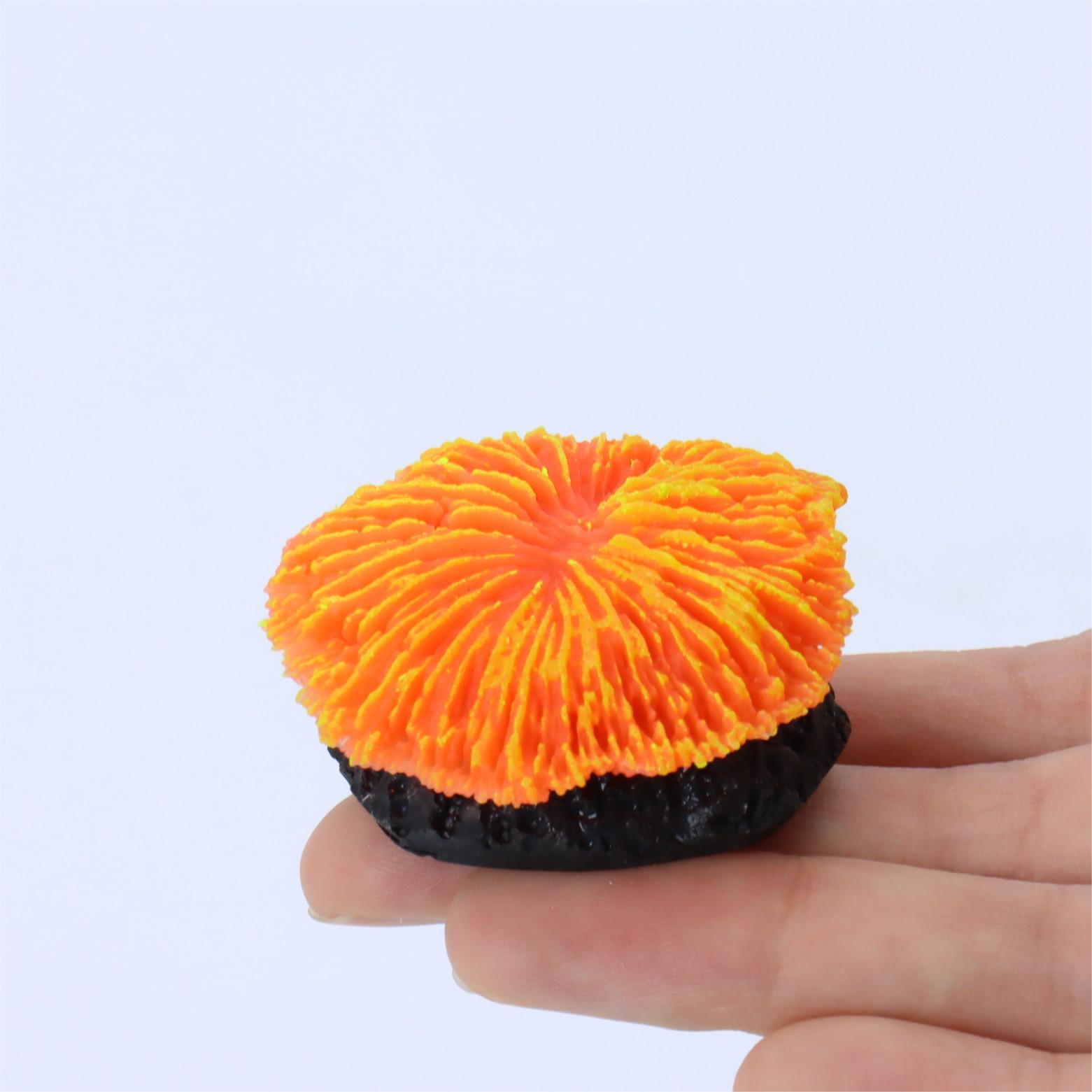 1 piece aquarium decoration sa – Aquarium Plant Live Bewertung und Preis