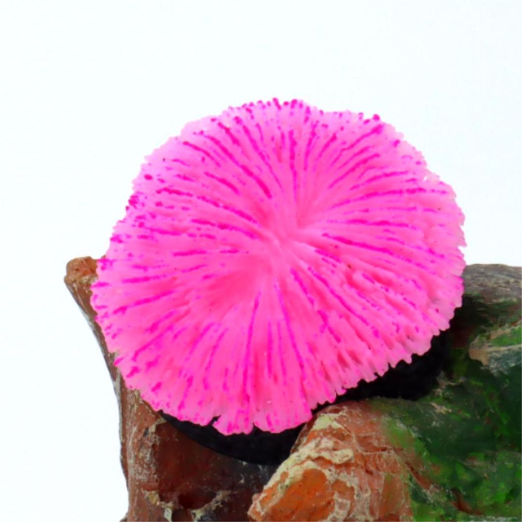 1 piece aquarium decoration sa – Aquarium Plant Live Bewertung und Preis