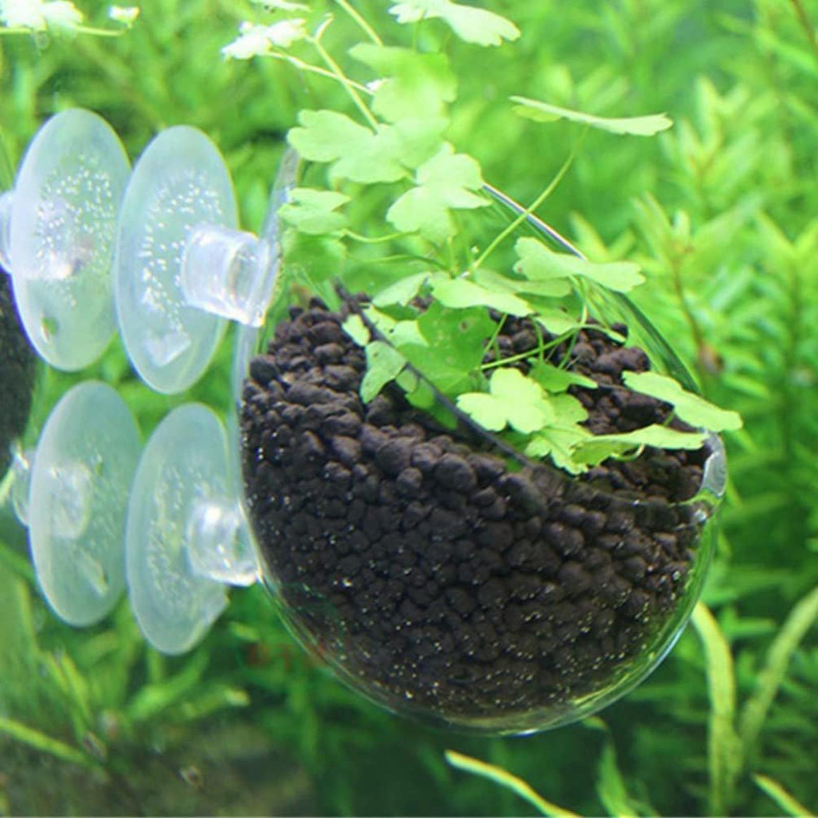 Aquarium-Pflanzenhalter Glas-W – Aquarium Plant Live Bewertung und Preis