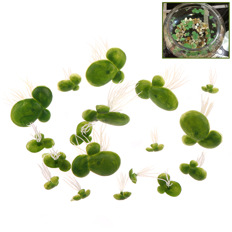 18 teile/satz Aquarium Aquariu – Aquarium Plant Roots Bewertung und Preis