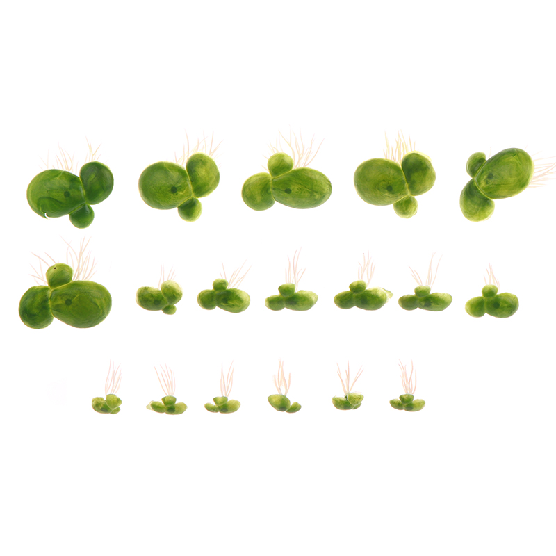 18 teile/satz Aquarium Aquariu – Aquarium Plant Roots Bewertung und Preis
