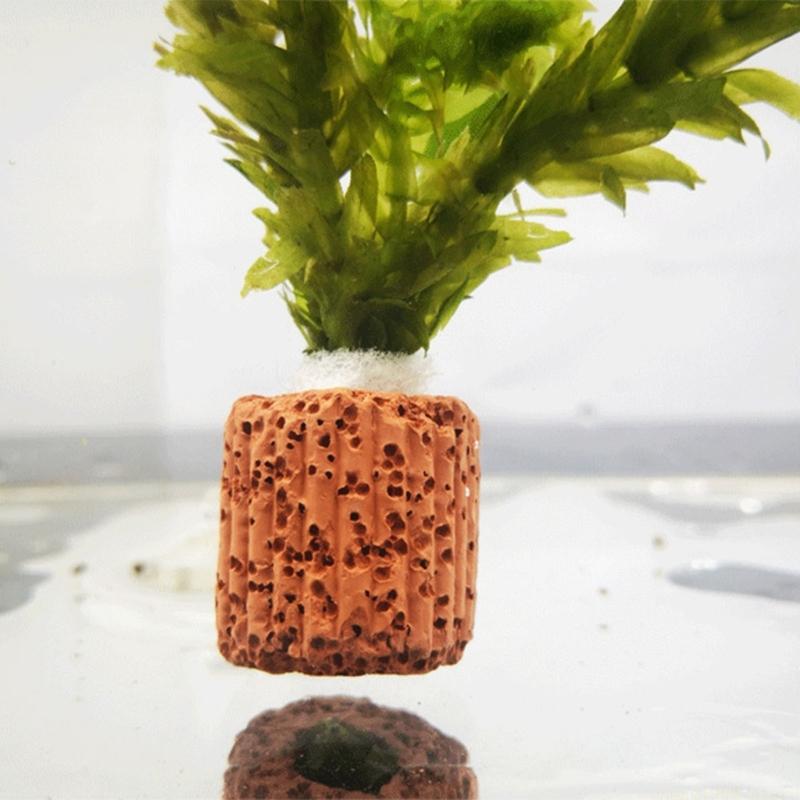 QX2E Aquarium-Pflanzenhalteran – Emersed Plants Aquarium Bewertung und Preis