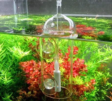VIV Do Device Aquarium-Zylinde – Aquarium Plant Live Bewertung und Preis