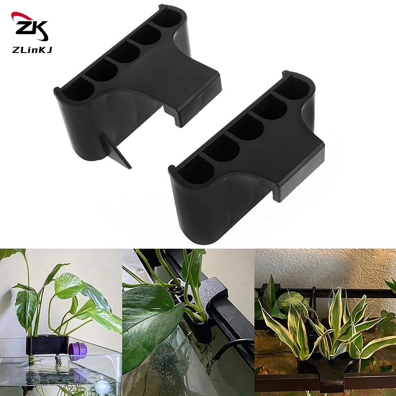 Hängender Aquarium-Pflanzenhal – Emersed Plants Aquarium Bewertung und Preis