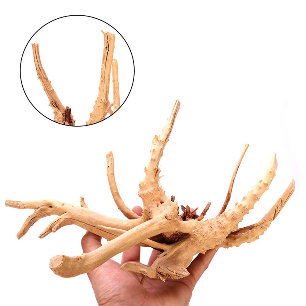 Holz N1N Landschaftsbau Aquari – Aquarium Plant Roots Bewertung und Preis