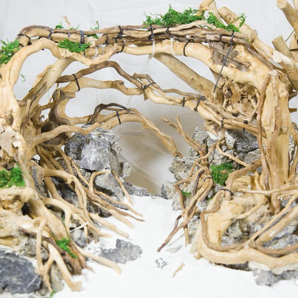 Holz N1N Landschaftsbau Aquari – Aquarium Plant Roots Bewertung und Preis
