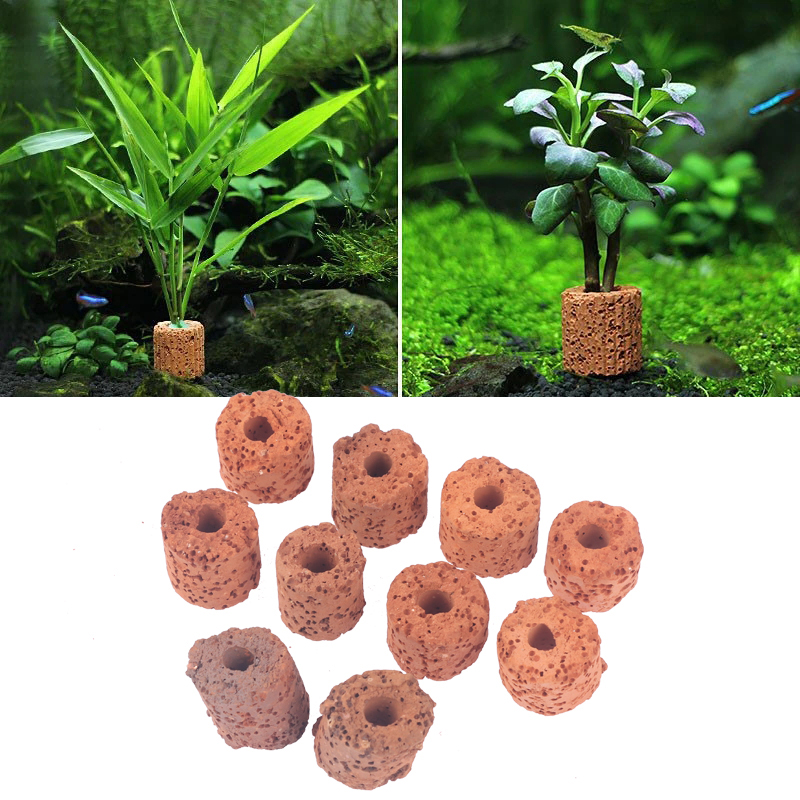 10 Stück Mini-Wasserpflanzen-R – Aquarium Planted Setup Bewertung und Preis