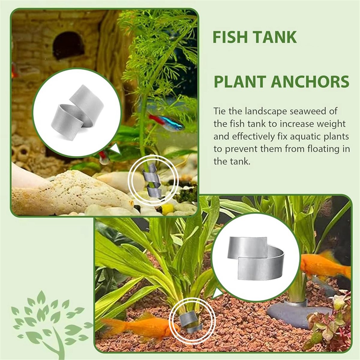 Zeitsparende Aquarienpflanzeng – Aquarium Plant Live Bewertung und Preis