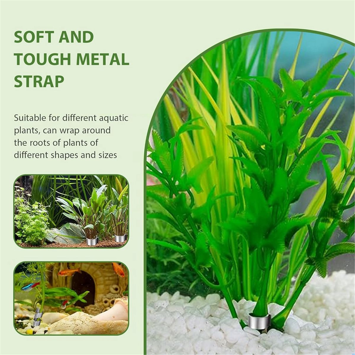 Zeitsparende Aquarienpflanzeng – Aquarium Plant Live Bewertung und Preis