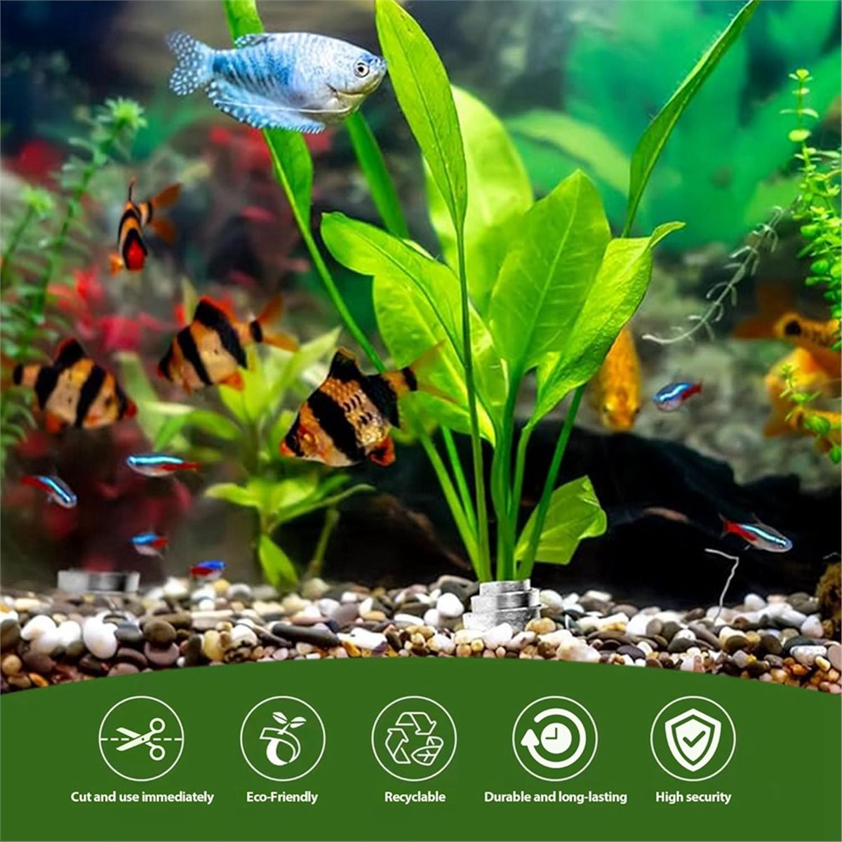 Zeitsparende Aquarienpflanzeng – Aquarium Plant Live Bewertung und Preis