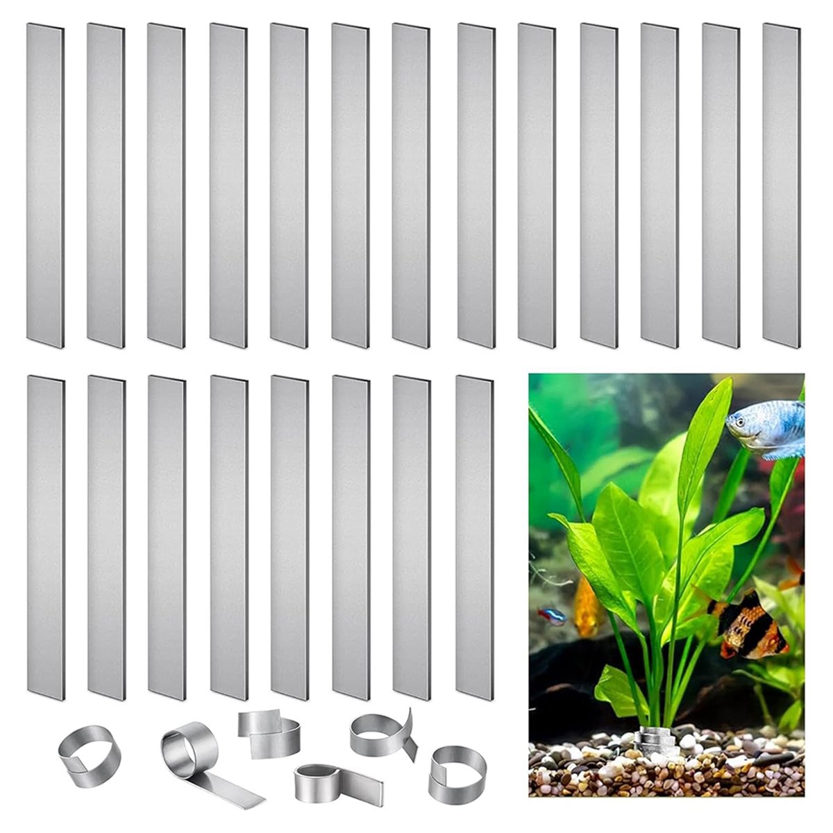 Zeitsparende Aquarienpflanzeng – Aquarium Plant Live Bewertung und Preis