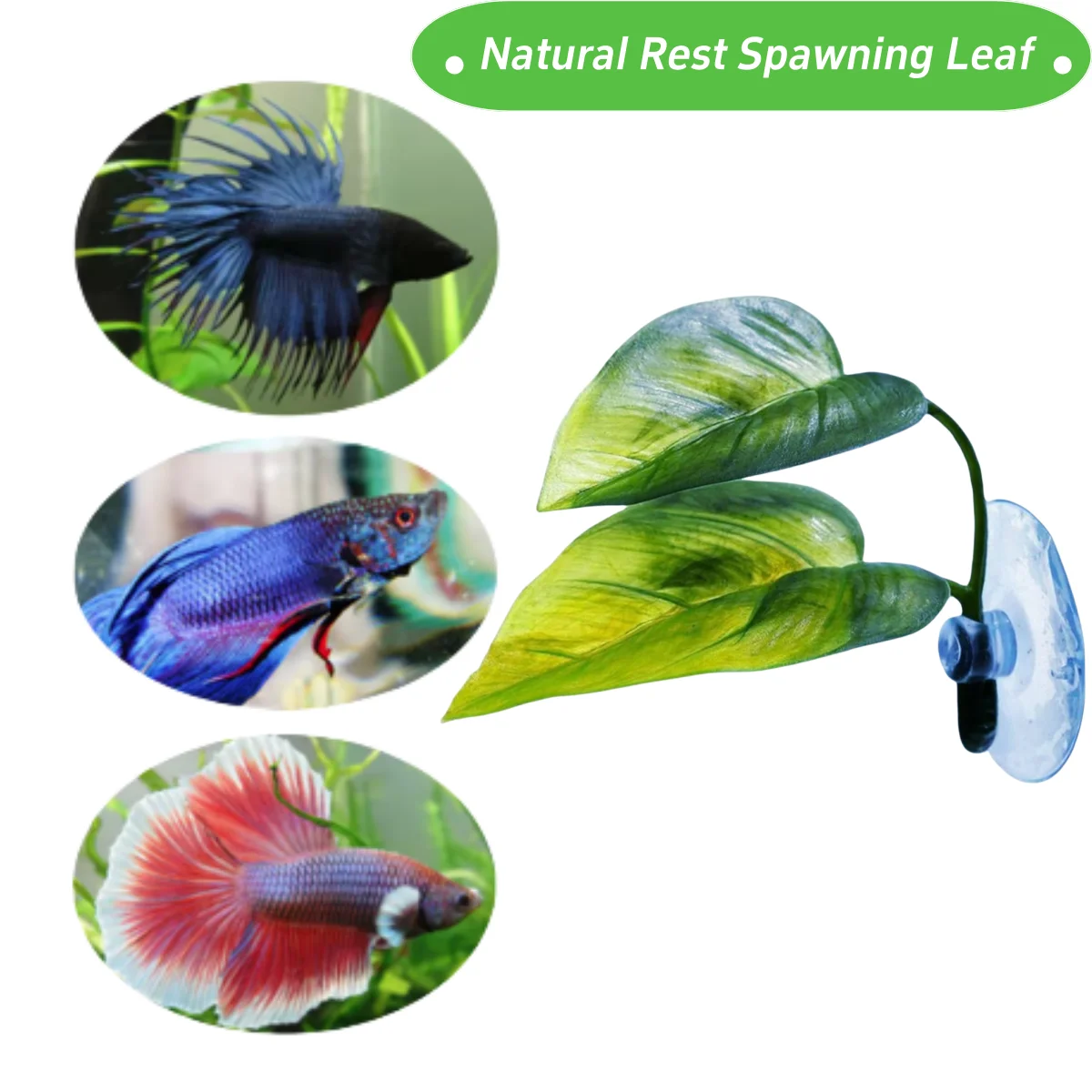 Haustiere Aquarium Dekor Betta – Aquarium Planted Tree Bewertung und Preis