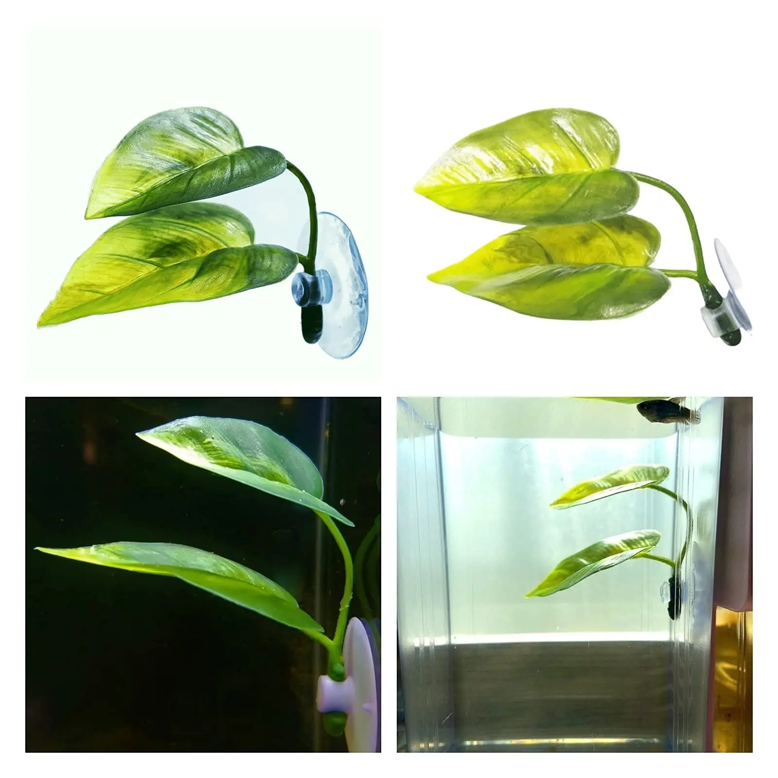 Haustiere Aquarium Dekor Betta – Aquarium Planted Tree Bewertung und Preis