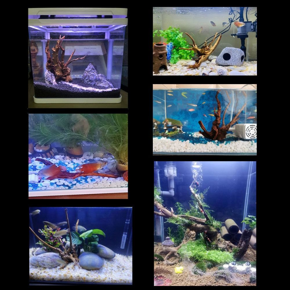 20-25CM Großes Aquarium-Treibh – Aquarium Planted Tree Bewertung und Preis