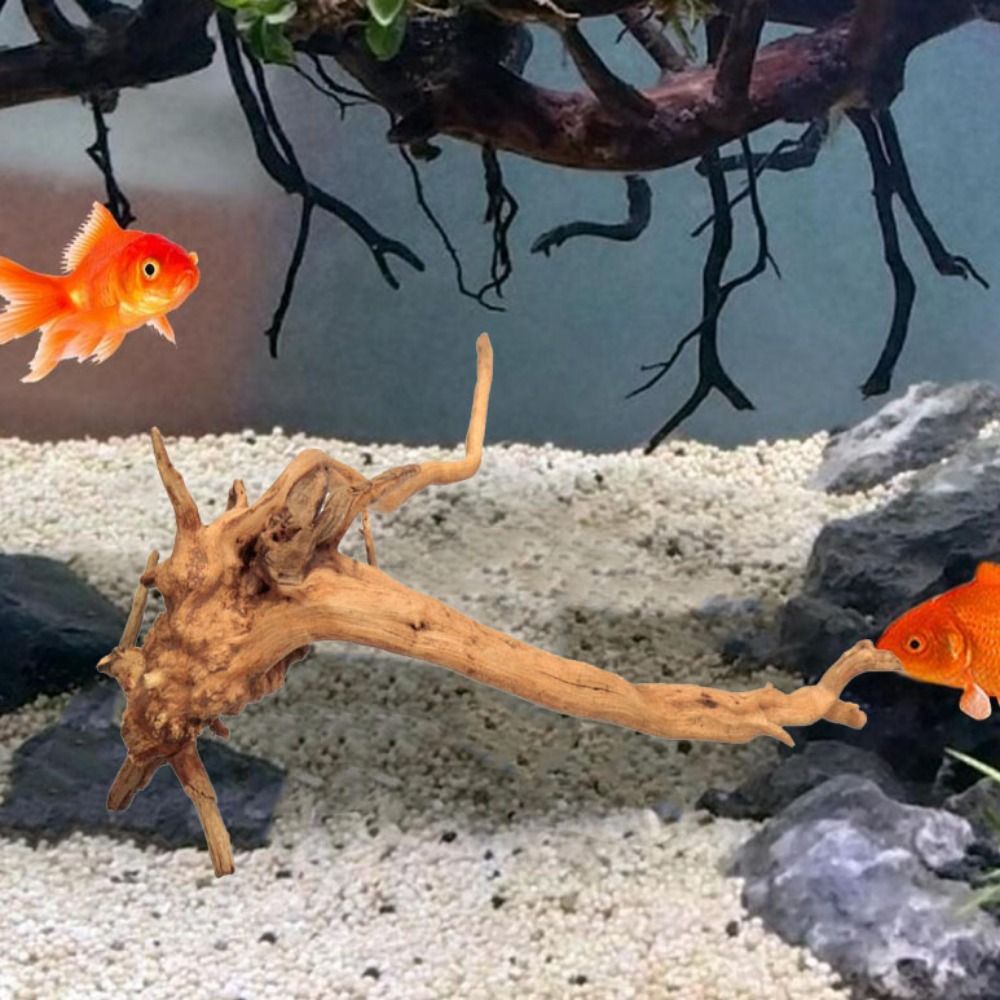 20-25CM Großes Aquarium-Treibh – Aquarium Planted Tree Bewertung und Preis