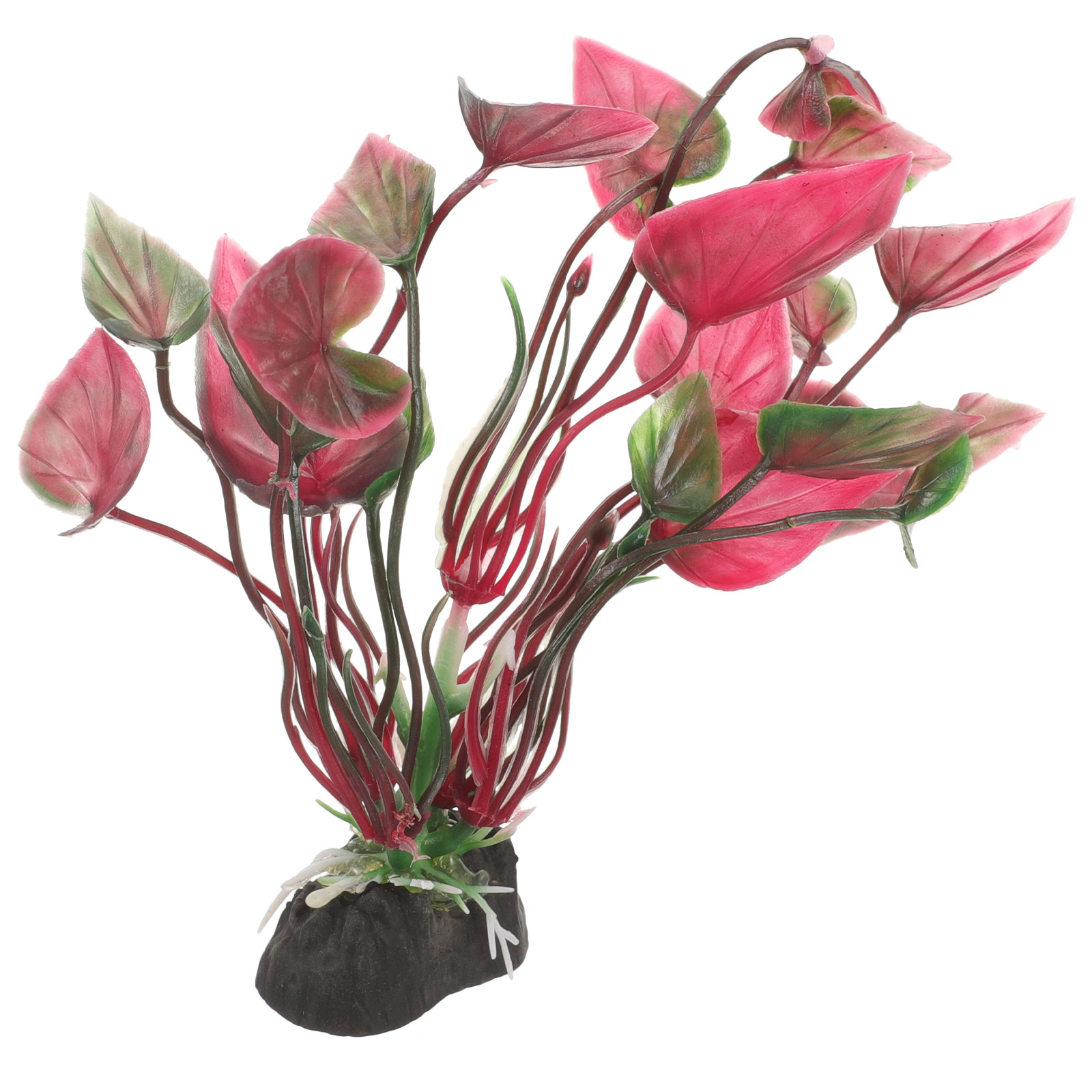Lebensechte Kunststoff-Aquarie – Aquarium Planted Setup Bewertung und Preis