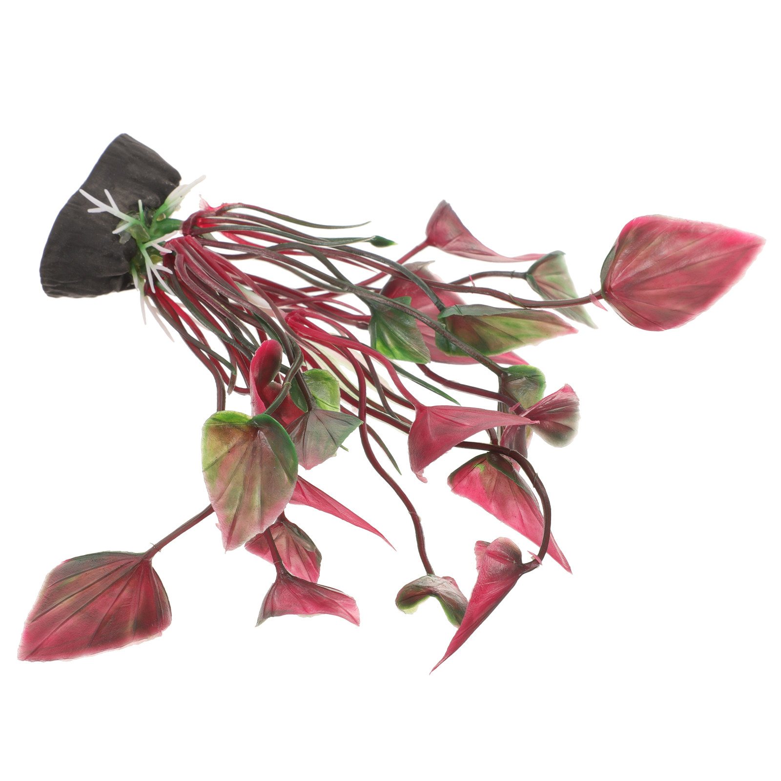 Lebensechte Kunststoff-Aquarie – Aquarium Planted Setup Bewertung und Preis