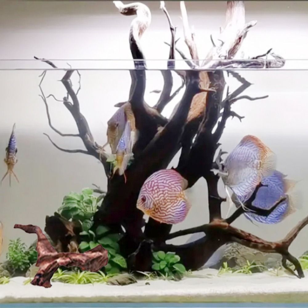 Kreative Unregelmäßige Form Ko – Aquarium Planted Tree Bewertung und Preis