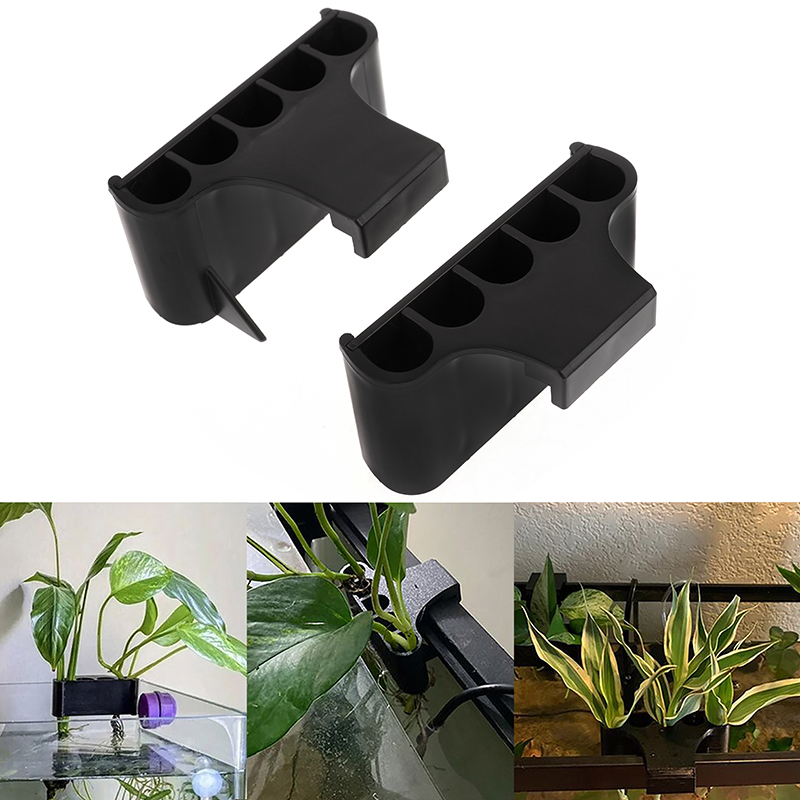 Hängender Aquarium Pflanzen ha – Emersed Plants Aquarium Bewertung und Preis