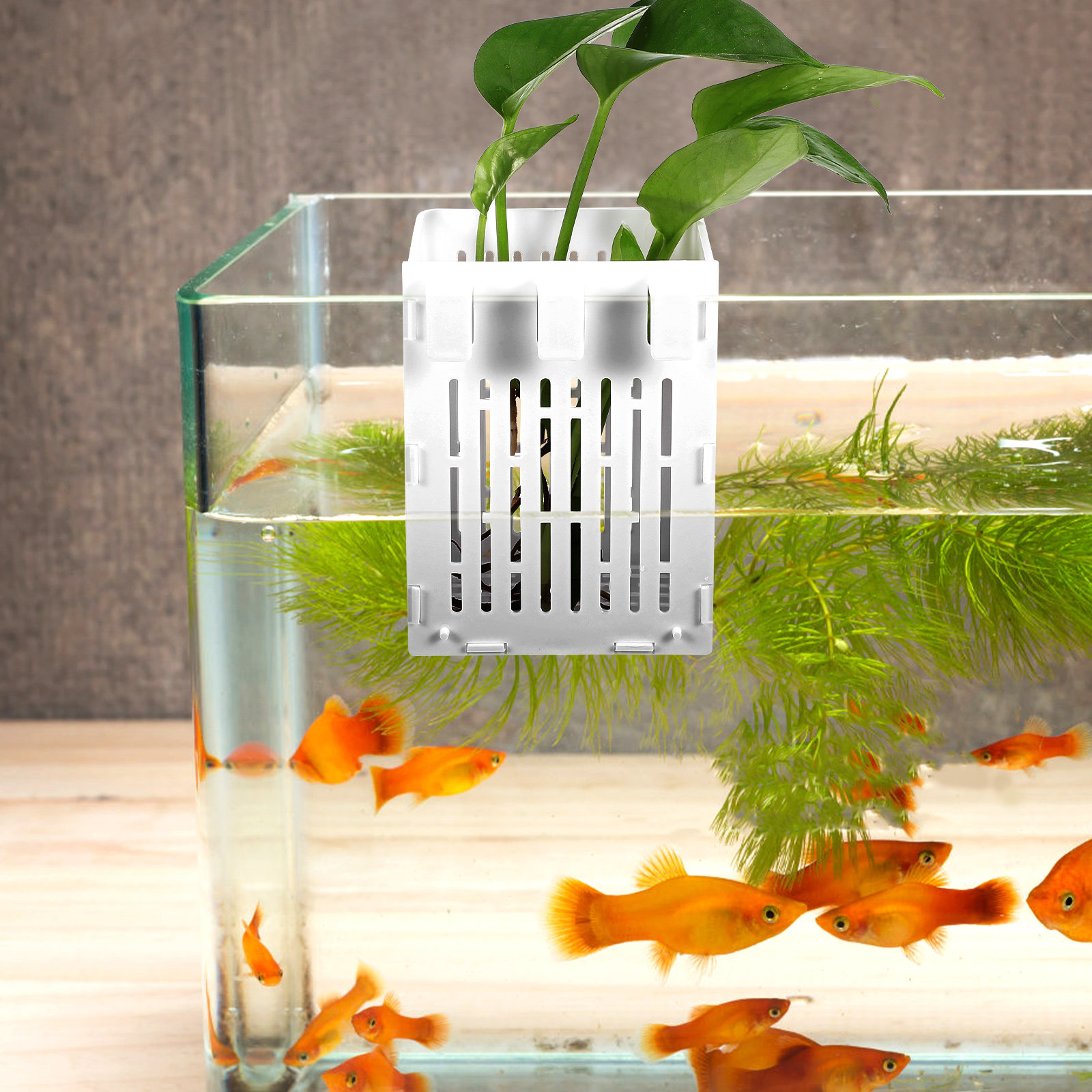 2 Stück Aquarienpflanzenkörbe, – Aquarium Planted Setup Bewertung und Preis