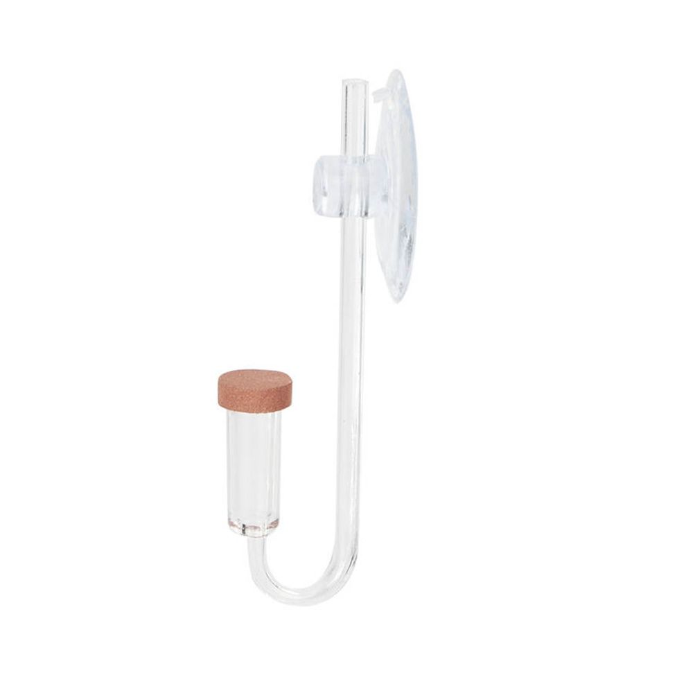 Acryl Mini Aquarium Live Pflan – Planted Aquarium Co2 Bewertung und Preis