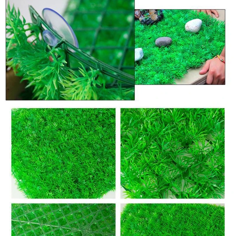 Kunstrasen Rasen Aquarium Aqua – Aquarium Plant Live Bewertung und Preis