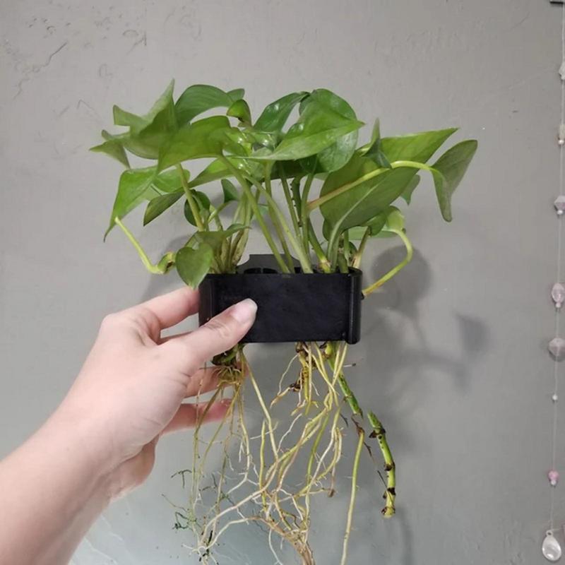 Hängender Aquarium-Pflanzenhal – Emersed Plants Aquarium Bewertung und Preis