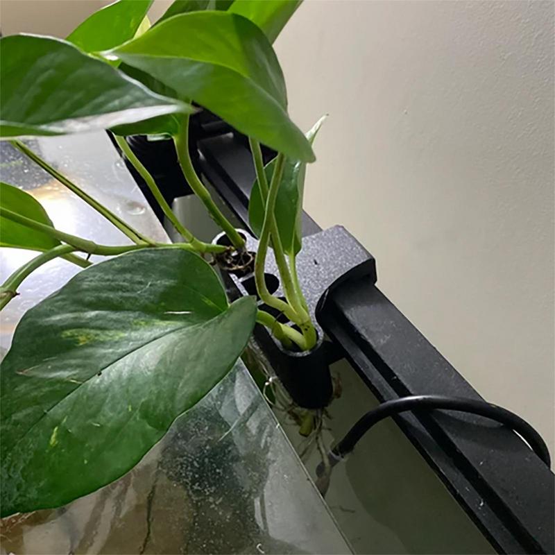 Hängender Aquarium-Pflanzenhal – Emersed Plants Aquarium Bewertung und Preis