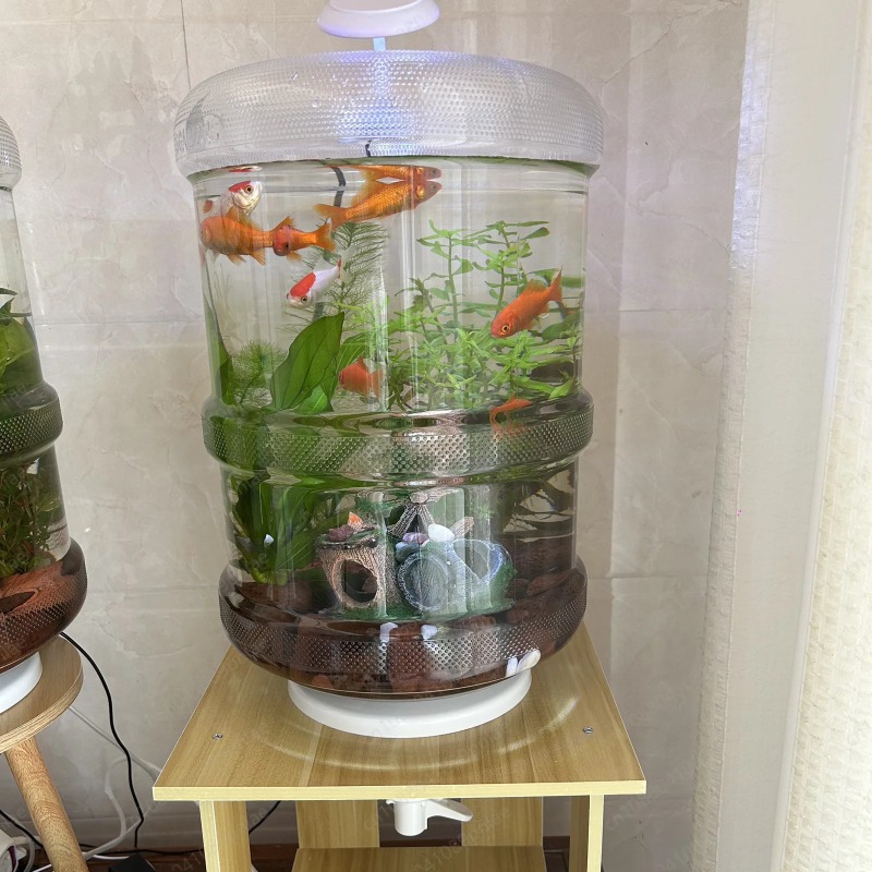 Sofortiges Setup-Aquarium für  – Aquarium Planted Setup Bewertung und Preis