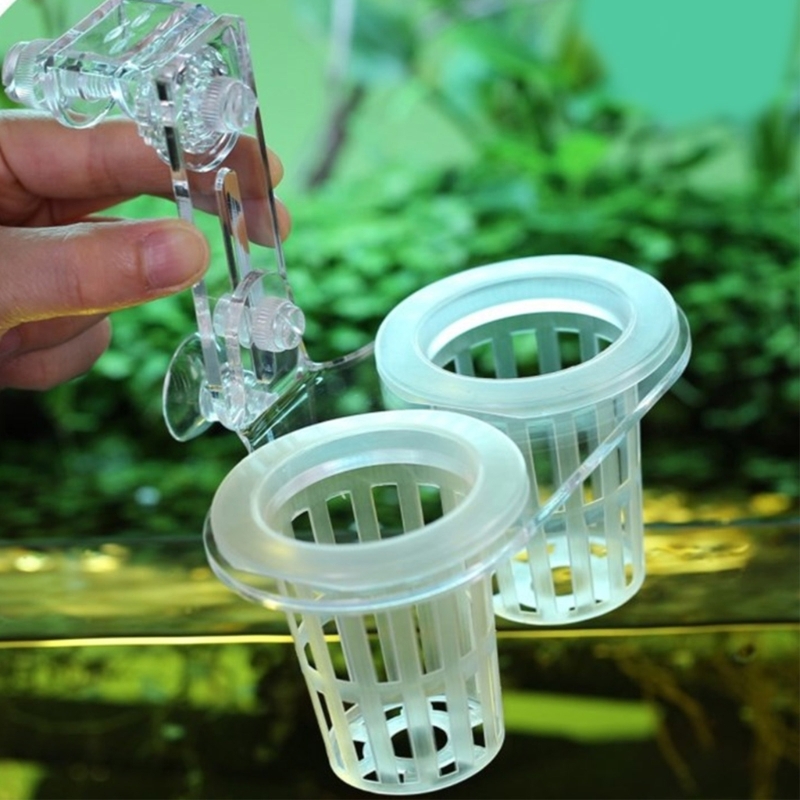 Aquarien Pflanzenständer Pflan – Emersed Plants Aquarium Bewertung und Preis