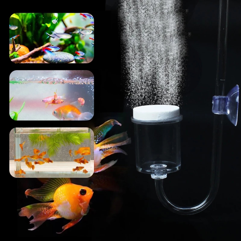 4 stücke Set DIY CO2-Diffusor  – Aquarium Plant Live Bewertung und Preis