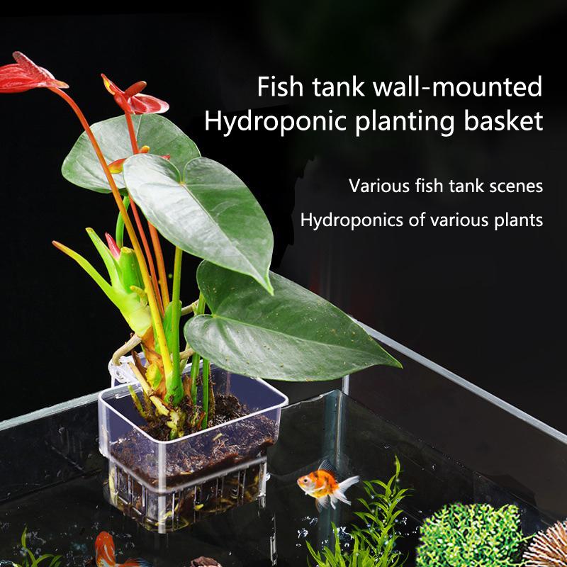 Aquarium Hydroponik-Pflanzbech – Aquarium Planted Setup Bewertung und Preis