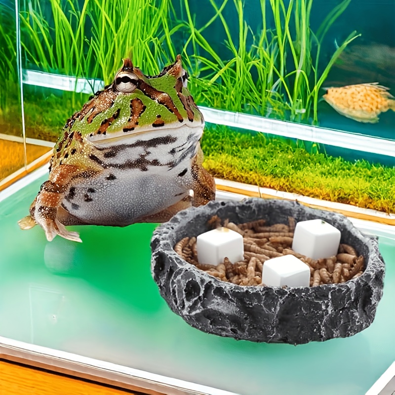 6-teiliger Aquarium-Kalziumblo – Aquarium Plant Roots Bewertung und Preis